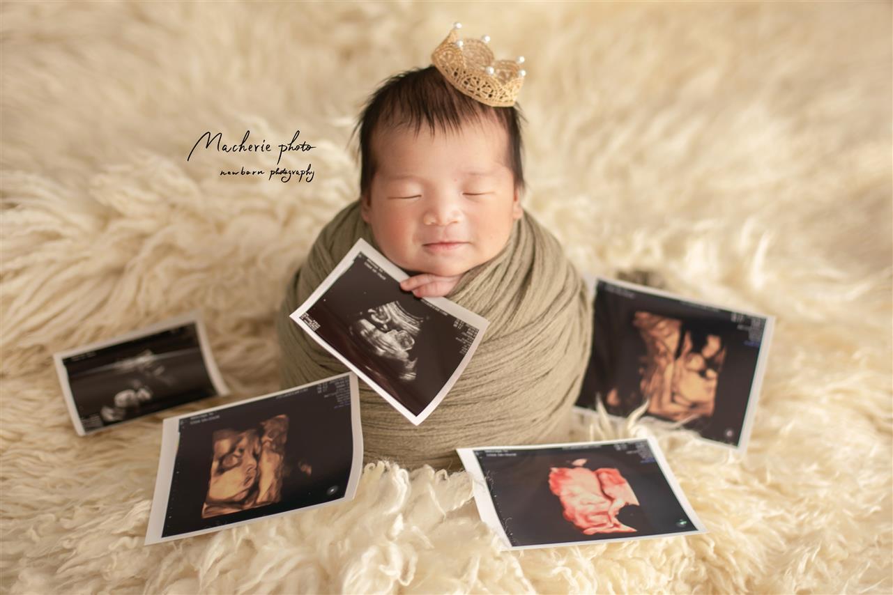 岐阜県全域（多治見市・各務原市等）への出張撮影対応